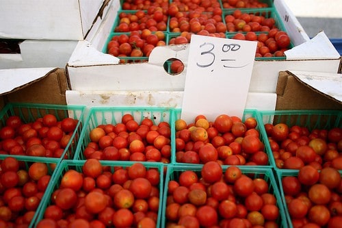 Feasting on Debt: The Grocery Budget - Market tomatoes
