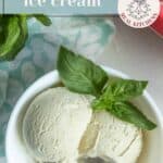 A white bowl with two scoops of basil ice cream, garnished with fresh basil leaves and a spoon, sits next to a red container filled with more basil ice cream.
