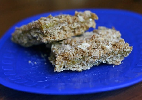 Oatmeal Bars - Fresh fig oatmeal bars are like a portable crumble or cobbler - a dessert or snack to enjoy on the go!