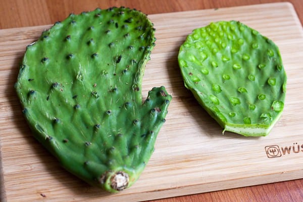 cactus scramble - Nopales pads