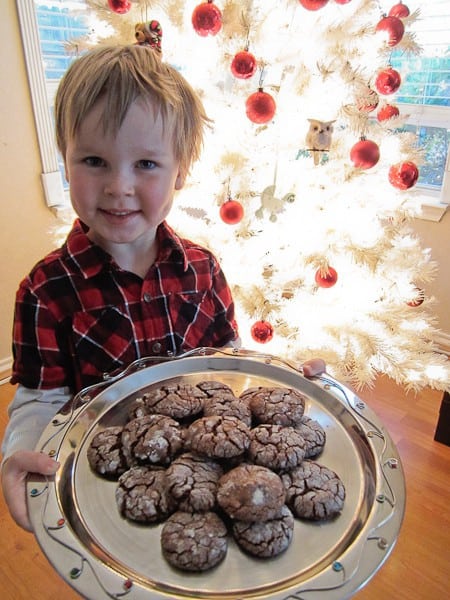 Peanut Butter Chocolate Crinkle Cookies