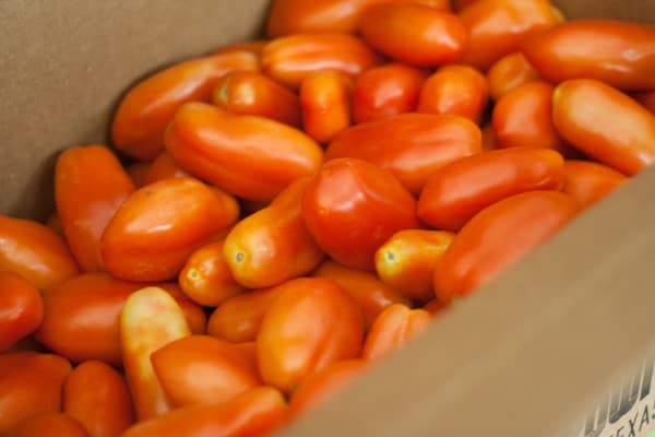 san marzano tomatoes