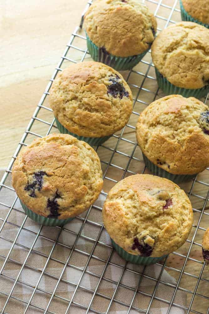 Blueberry Lime Muffins