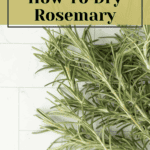 Learn how to dry rosemary.