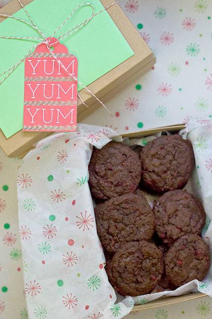 Chocolate Raspberry Cookies - Festively chocolate cookies studded with raspberry for the Great Food Blogger Cookie Swap.