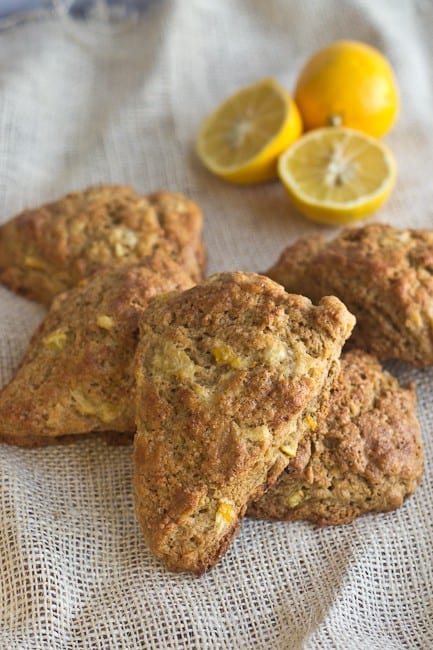 Whole Grain Scones - Meyer lemons are added to hearty whole grain scones.