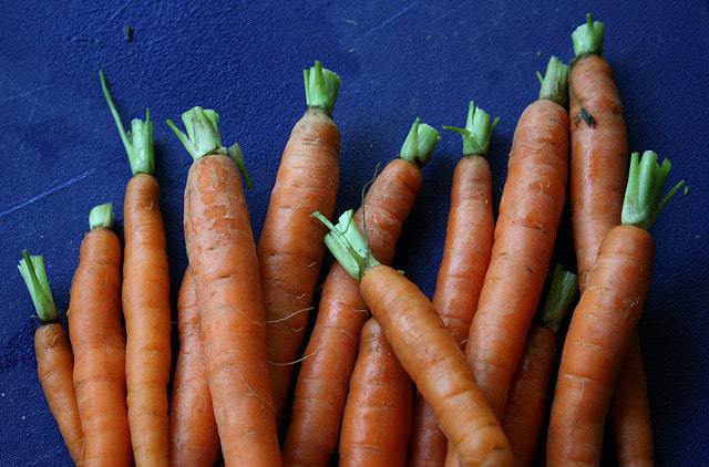Eating Organics on a Budget - carrots