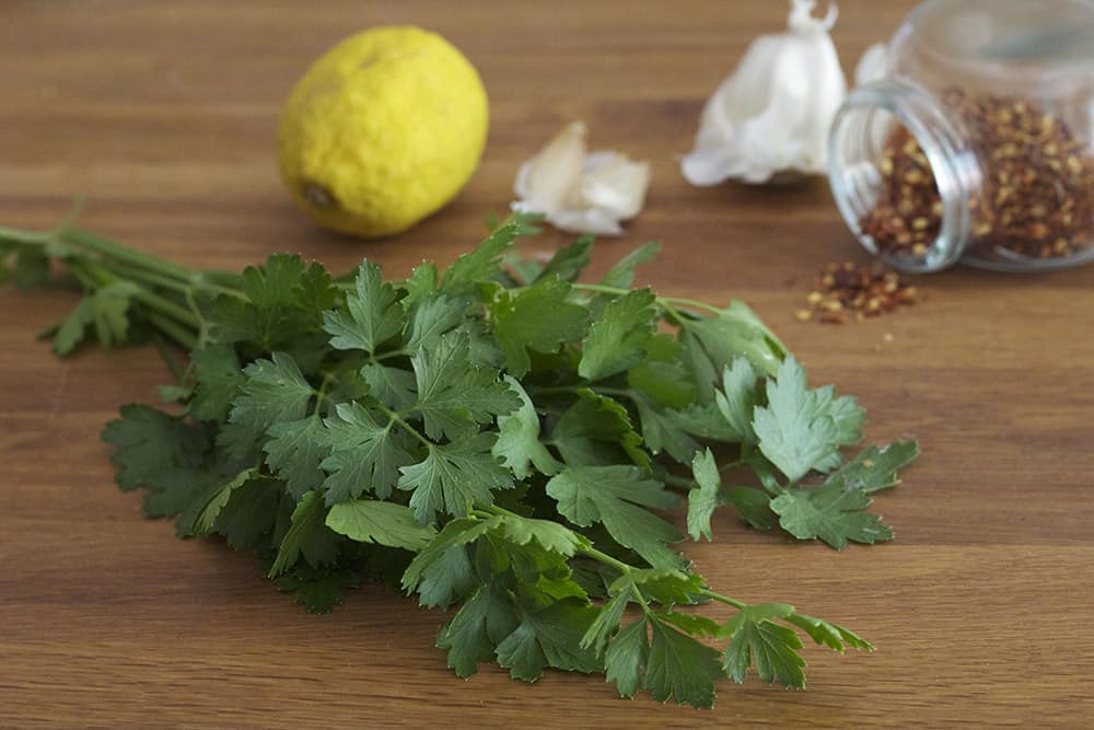 chimichurri sauce ingredients