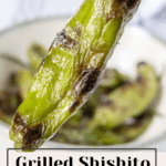 Grilled shishito peppers in a bowl.