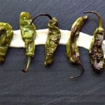 Grilled Shishito Peppers