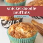 Snickerdoodle Muffins in colorful paper liners, with cinnamon sticks beside them on a white surface. Text overlay reads "Snickerdoodle Muffins stetted.com".