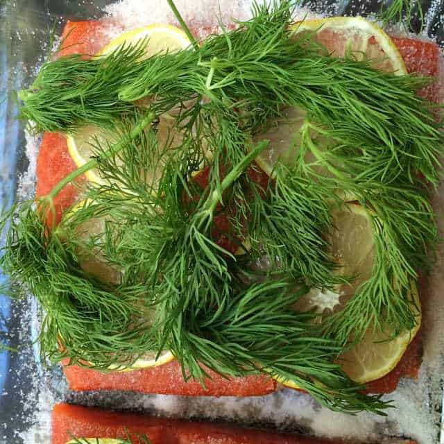 Homemade Gravlax is surprisingly easy to make, and perfect for your morning bagels.