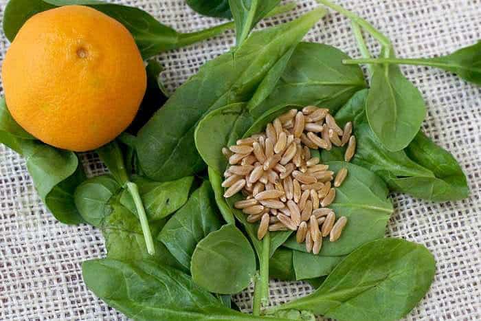 Kamut Spinach Salad - Ingredients