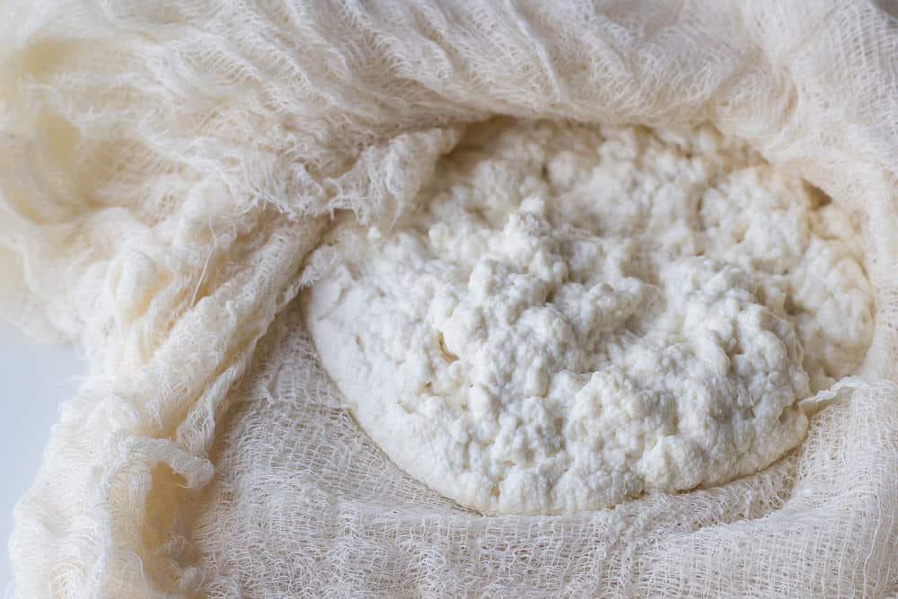 DIY Ricotta is an easy cheese to make on your own.