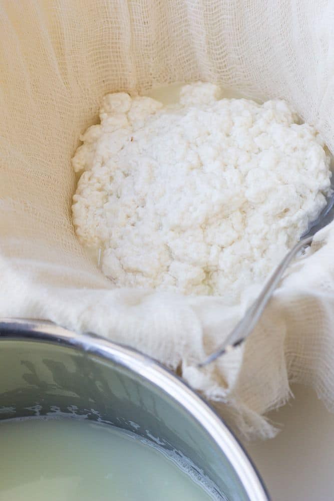 DIY Ricotta only needs two ingredients.