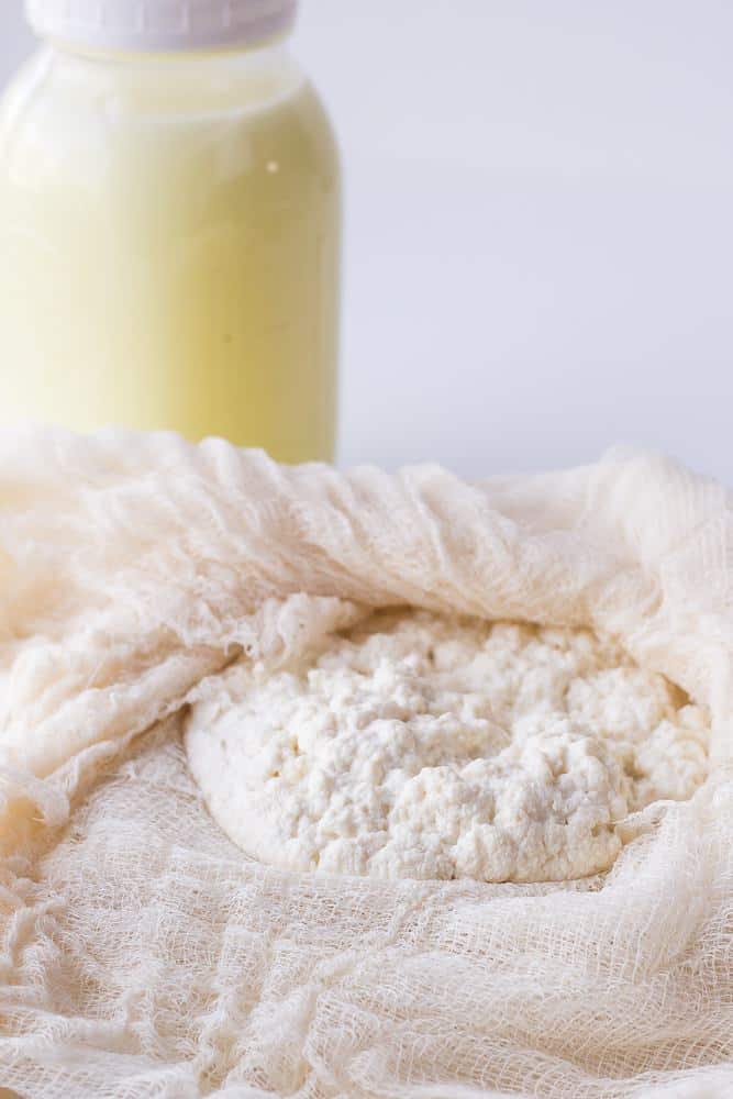 DIY Ricotta lovely and luscious, and only requires two ingredients.