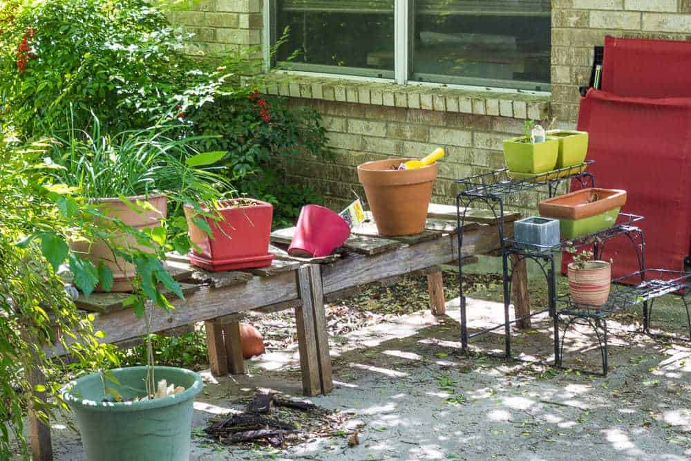 Patio Overhaul - Plants Before