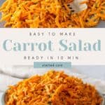 A bowl of grated carrot salad with a caption that reads "easy to make carrot salad, ready in 10 min - stetted.com".