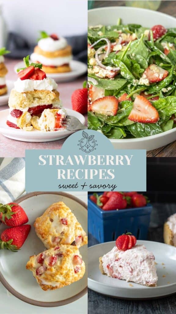 20+ Strawberry Recipes from Sweet to Savory Strawberry Recipes Tall