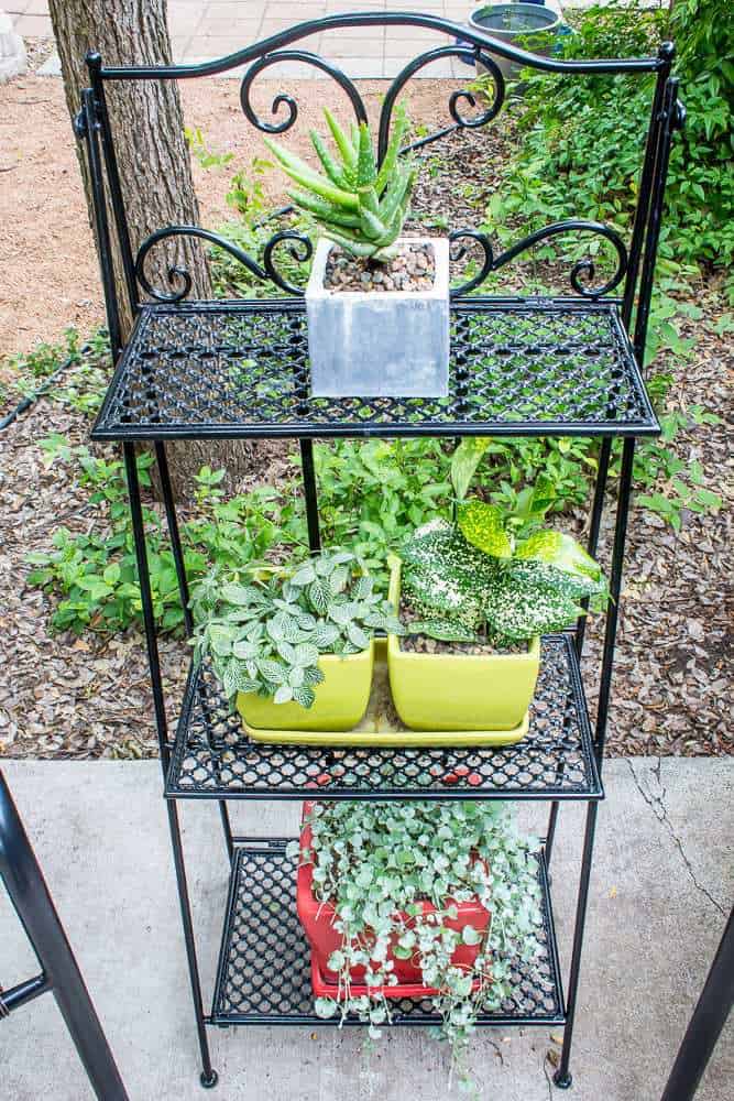 Summer Patio Decor - Plant Stand
