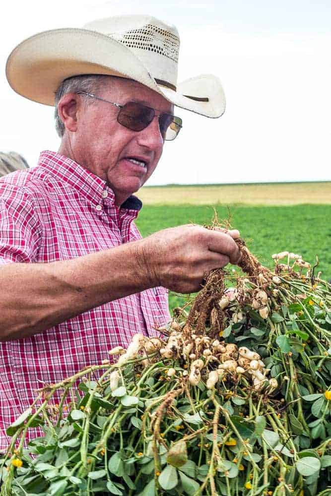 Peanut farmer Monty Henson