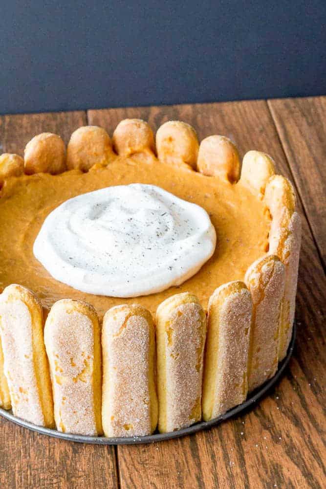 Pumpkin Charlotte is a twist on the standard pumpkin pie. Plus it's no bake so it's easy to make!