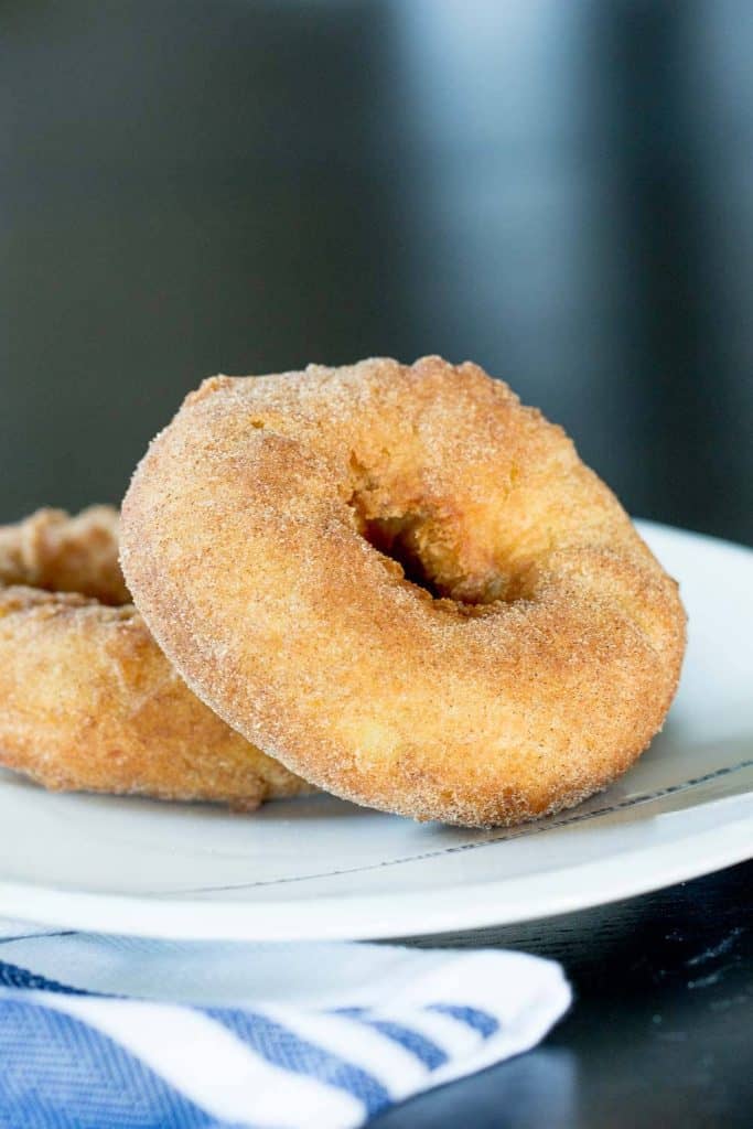 Two mashed potato donuts on a plate.