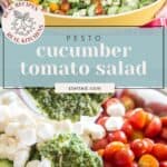A person holds a dish of cucumber tomato salad; below, a close-up shows the fresh cucumber tomato salad with mozzarella and pesto being added to a bowl. Text reads "Pesto cucumber tomato salad.