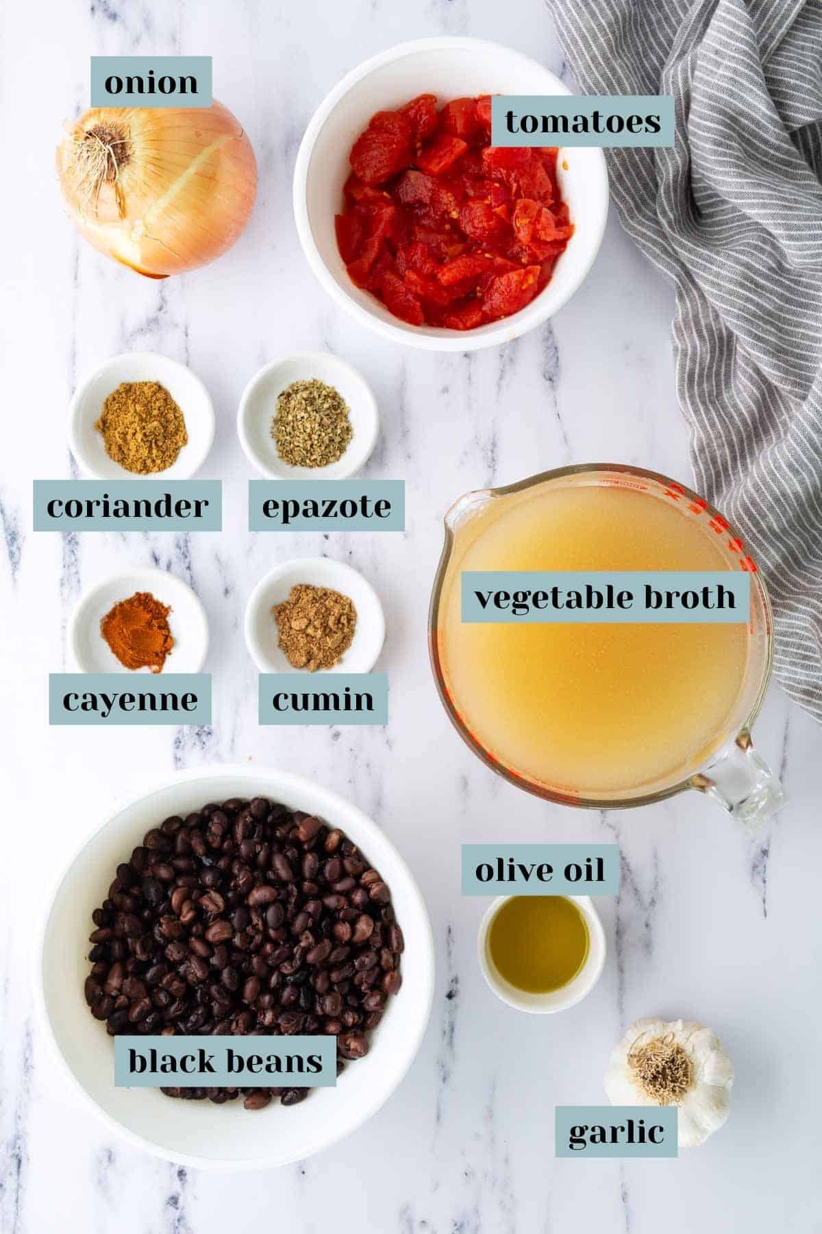 Ingredients for black bean soup displayed: whole onion, diced tomatoes, ground coriander, epazote, cayenne, cumin, vegetable broth, olive oil, black beans, and garlic cloves—perfect for a hearty homemade black bean soup.
