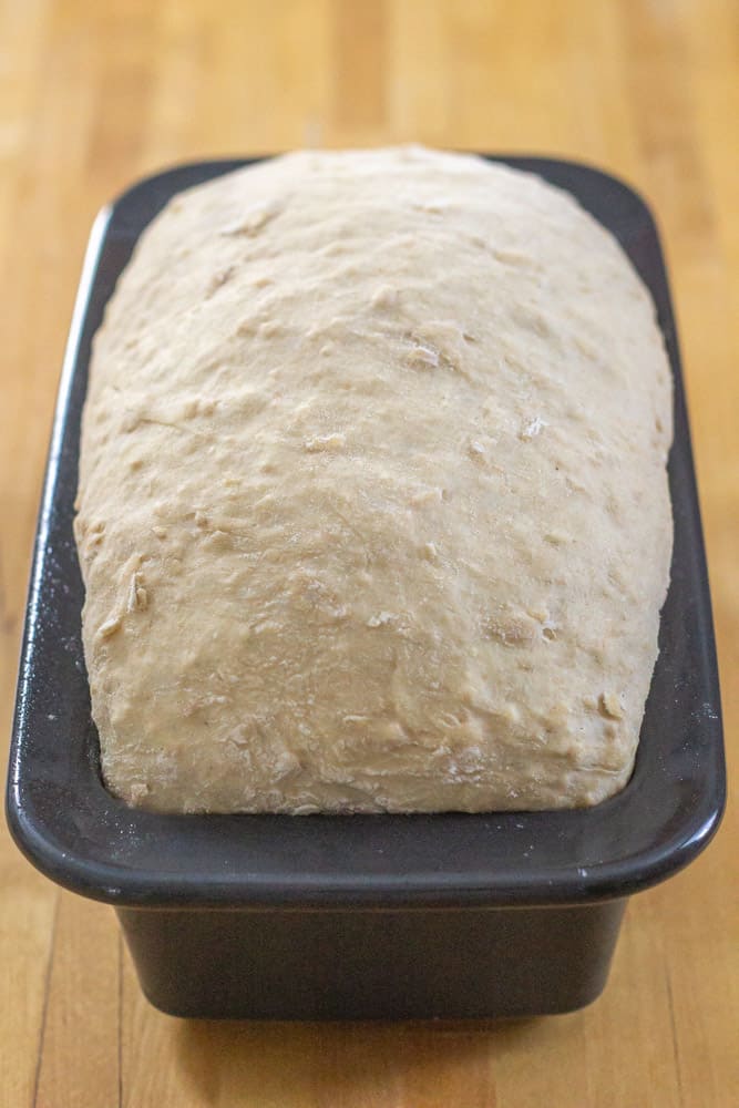 honey oatmeal bread dough risen in a black loaf pan