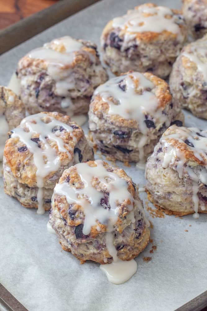 baked blueberry biscuits with icing on a baking sheet