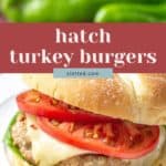 A turkey burger with melted cheese, lettuce, and tomato slices on a bun is shown in front of fresh green peppers. Text reads "hatch chile turkey burgers.