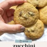 A hand holds a freshly baked zucchini chocolate chip cookie above a plate stacked with more zucchini chocolate chip cookies. Text at the bottom reads "zucchini chocolate chip cookies.