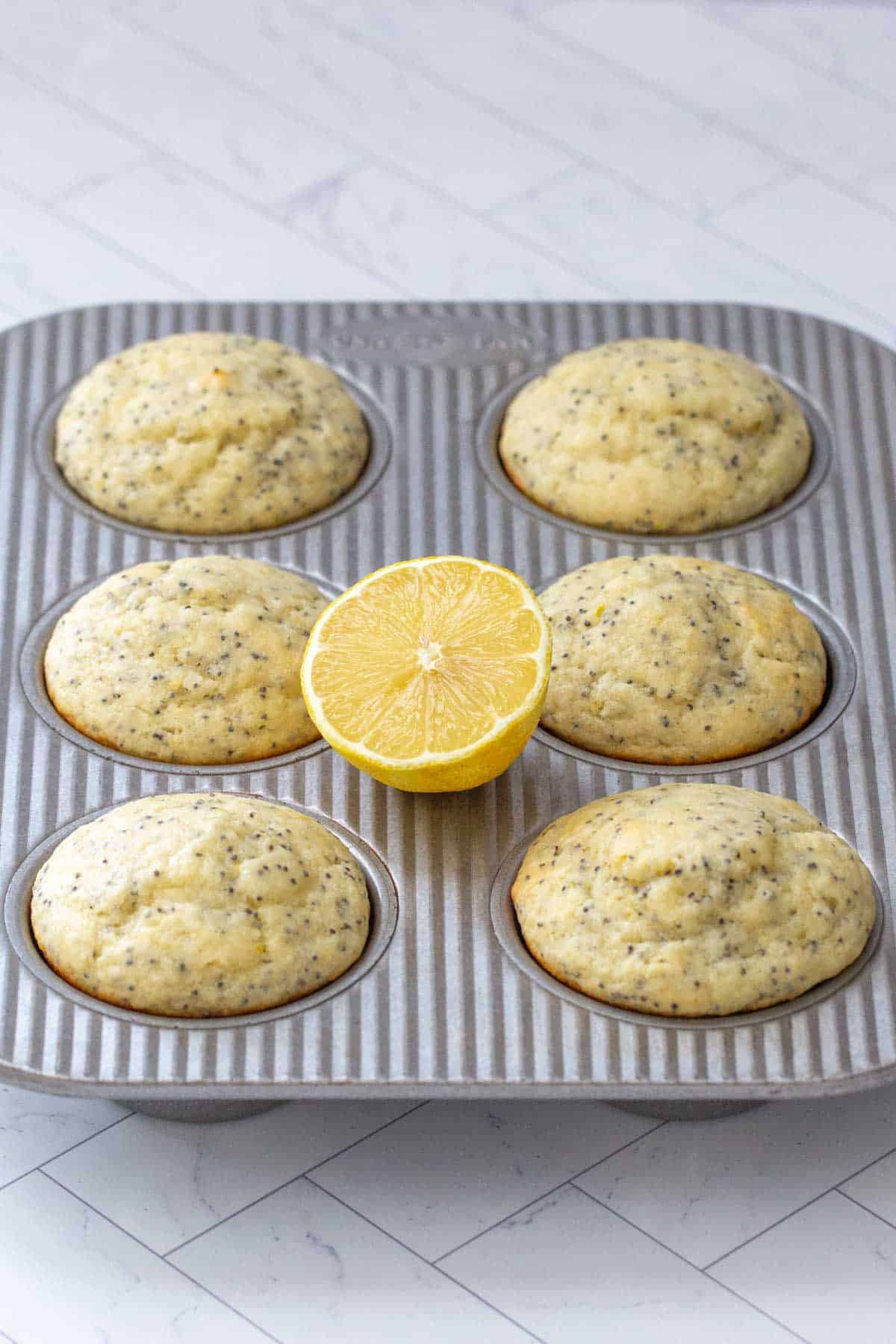 lemon poppy seed muffins in muffin pan