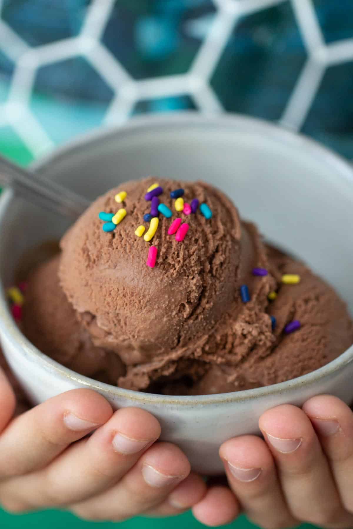 child hands holding bowl of chocolate ice cream with sprinkles