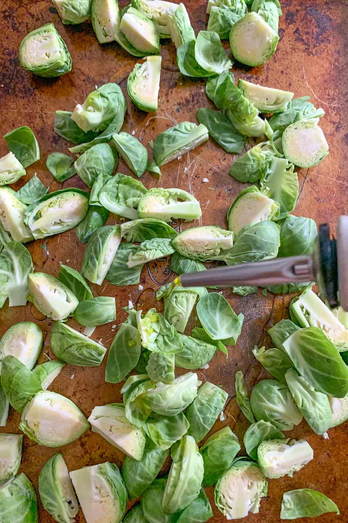 brussels sprouts on a sheet pan with olive oil being poured over