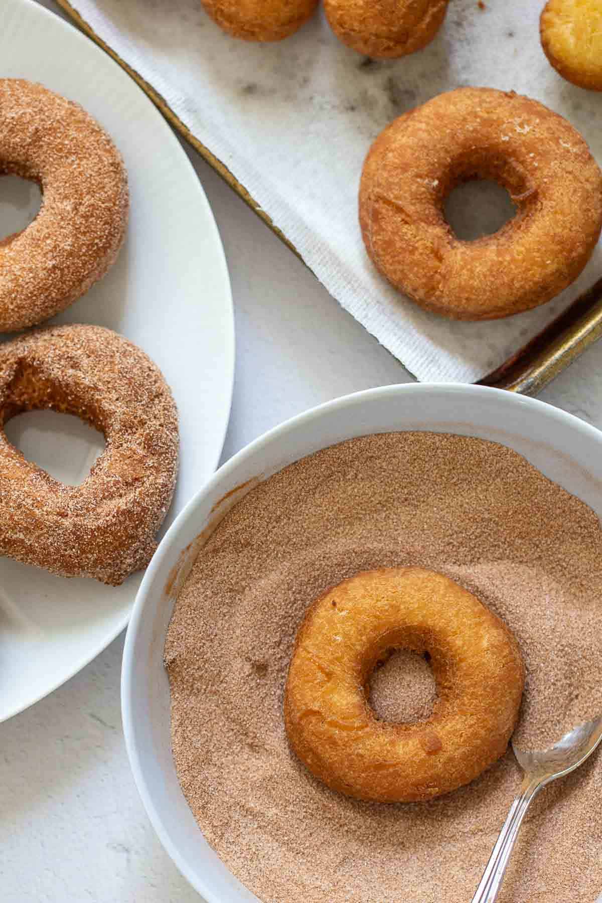 donuts on plate and in cinnamon sugar