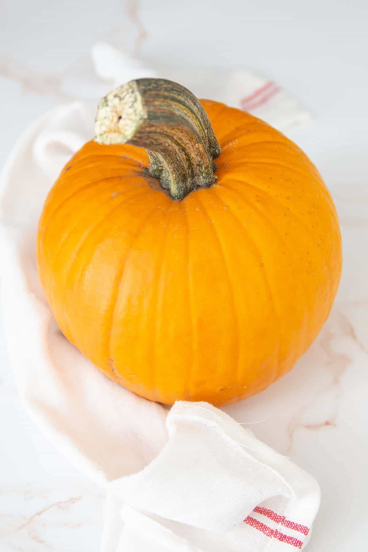 sugar pie pumpkin