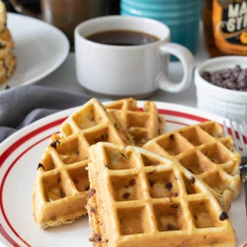 Mini Chocolate Chip Oat Waffles