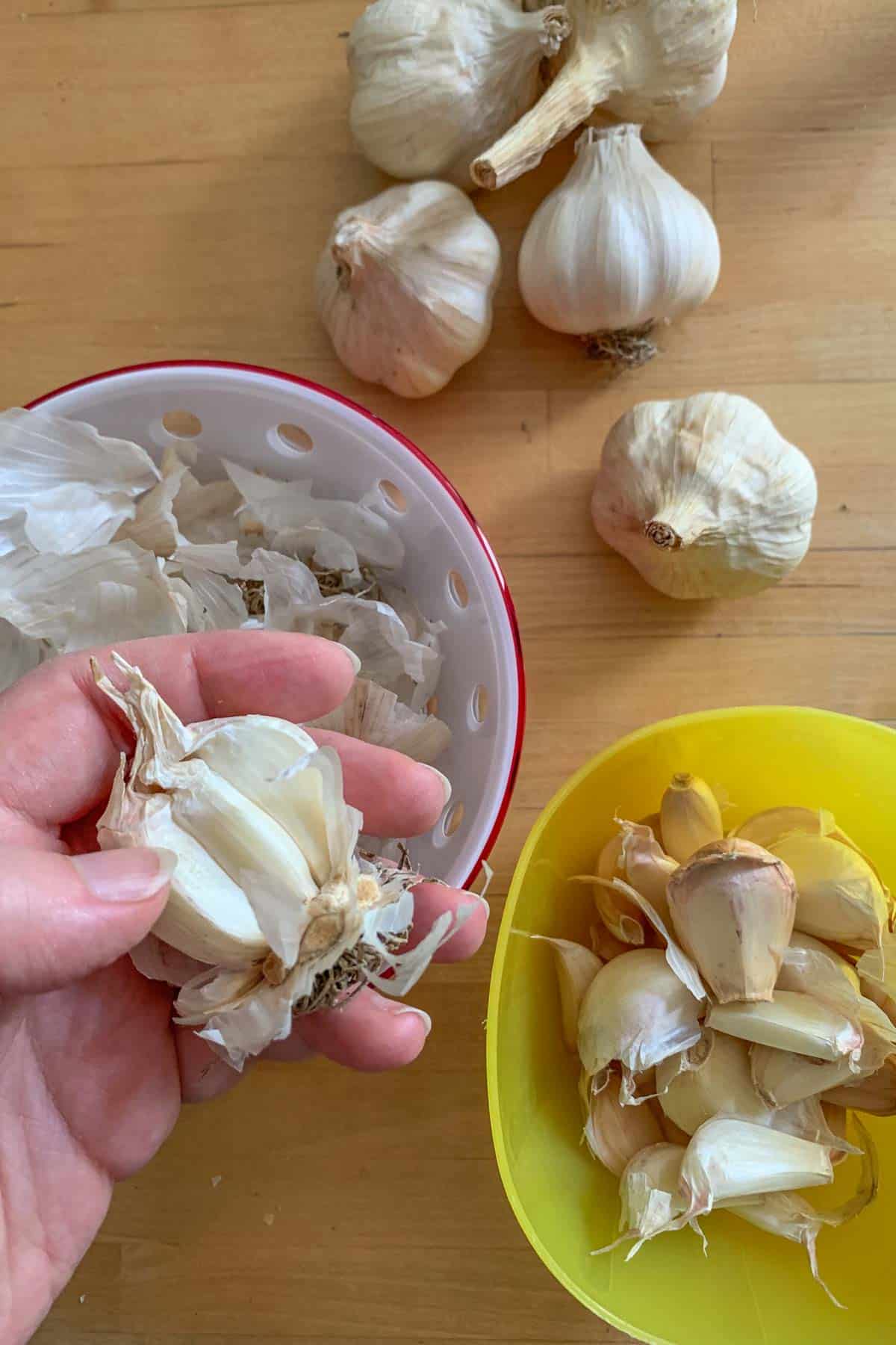 separating garlic cloves