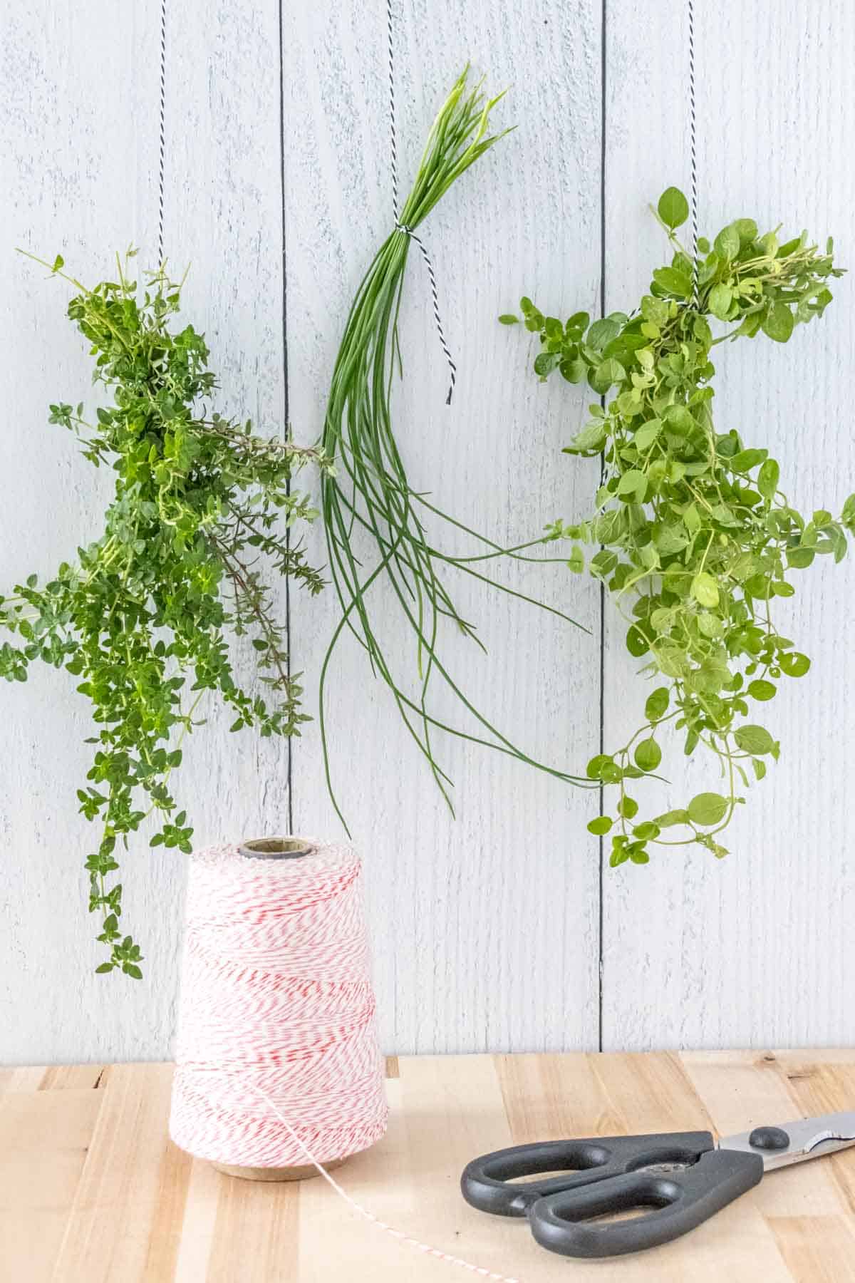 Herbs hanging for drying.