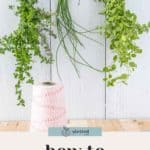 Bundles of fresh herbs tied with string hang upside down to dry against a white wooden background, illustrating how to dry herbs at home. Text at the bottom reads, "how to dry herbs.
