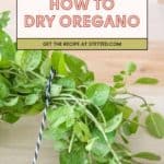 A person ties a bundle of fresh oregano with string, illustrating how to dry oregano. Text above reads: “How to Dry Oregano. Get the recipe at stetted.com.”.