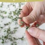 A person strips fresh oregano leaves from stems with text overlay: "how to dry oregano easily" and "easy money saver" on www.stetted.com.