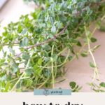 A bunch of fresh thyme sprigs on a light surface with the text "how to dry thyme" at the bottom.