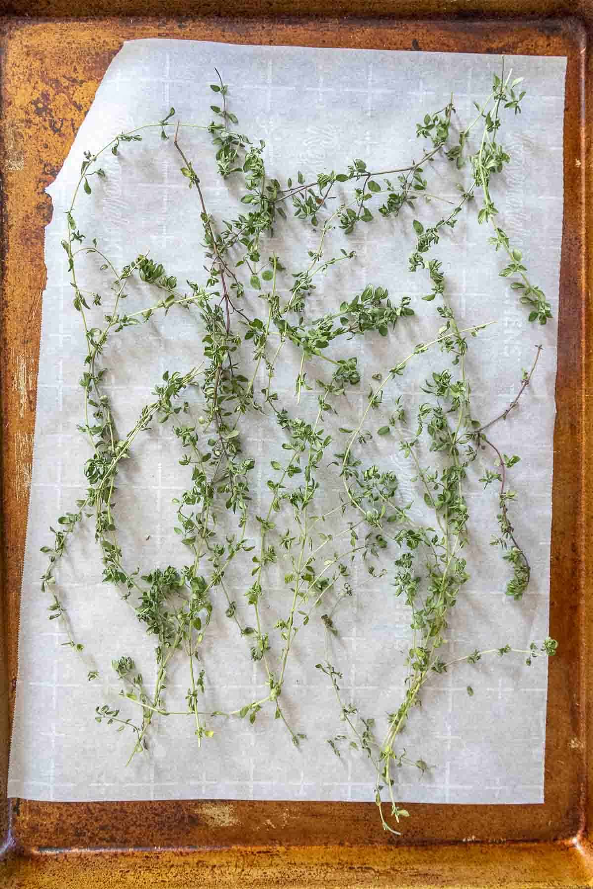 Thyme on a baking sheet for drying.