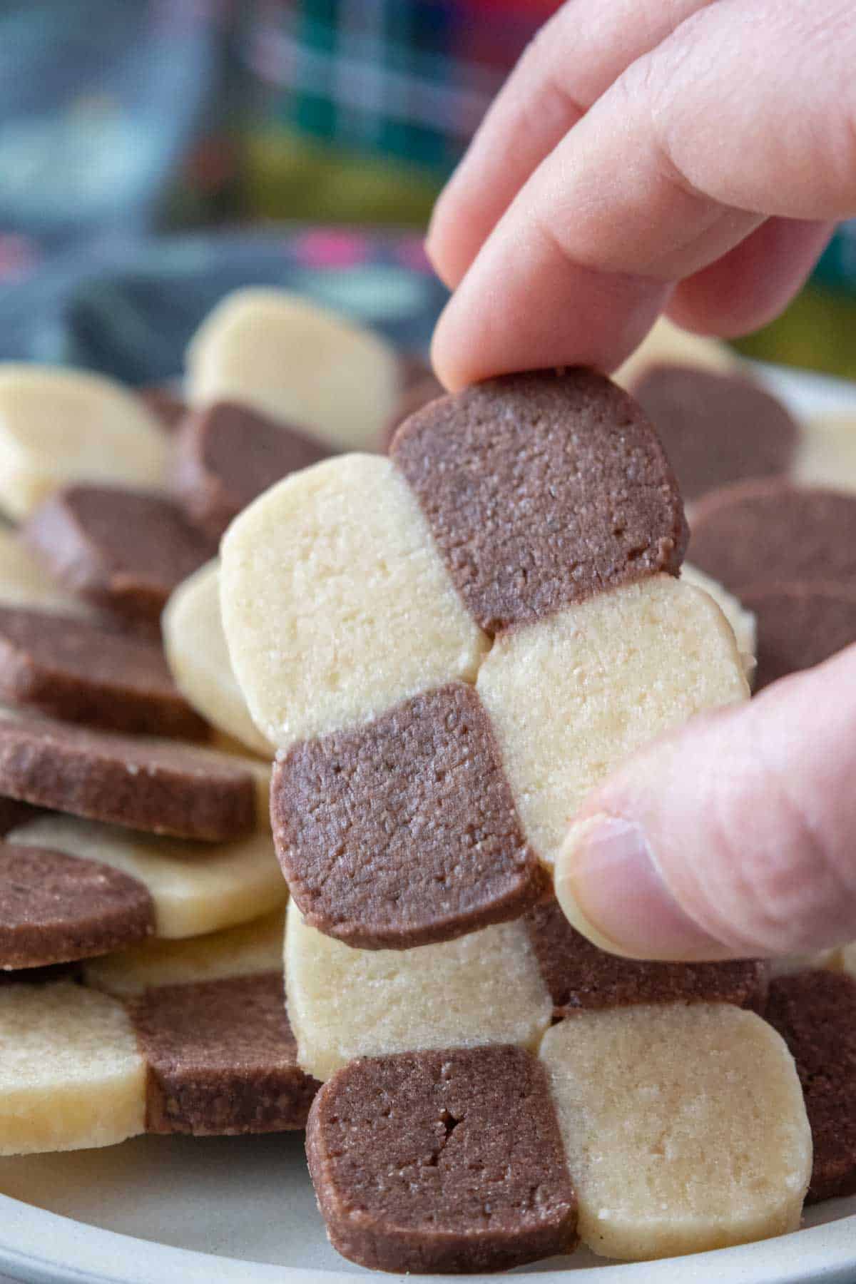 Caucasian hand holding up checkerboard cookie.