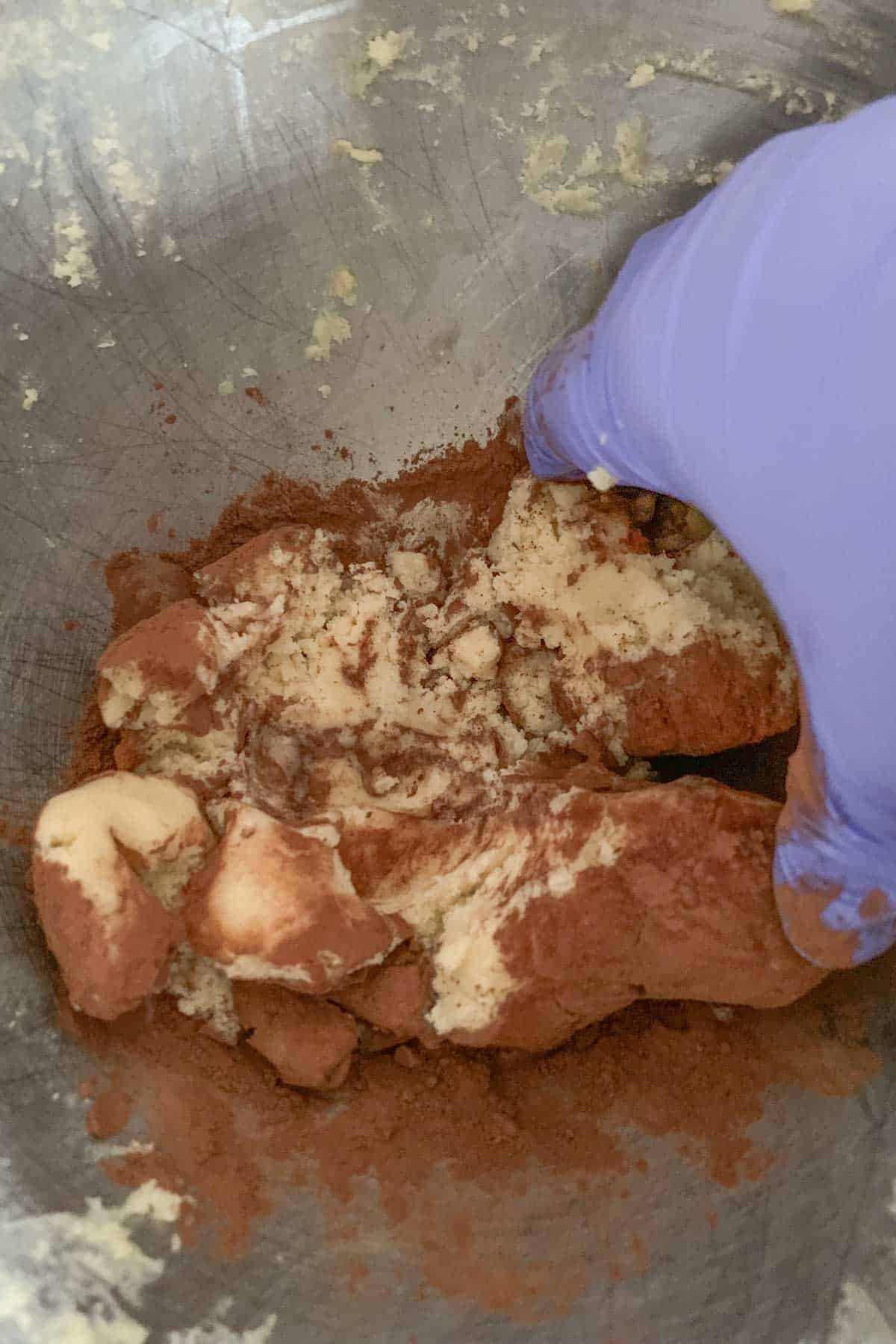 Kneading cocoa powder into checkerboard cookie dough.