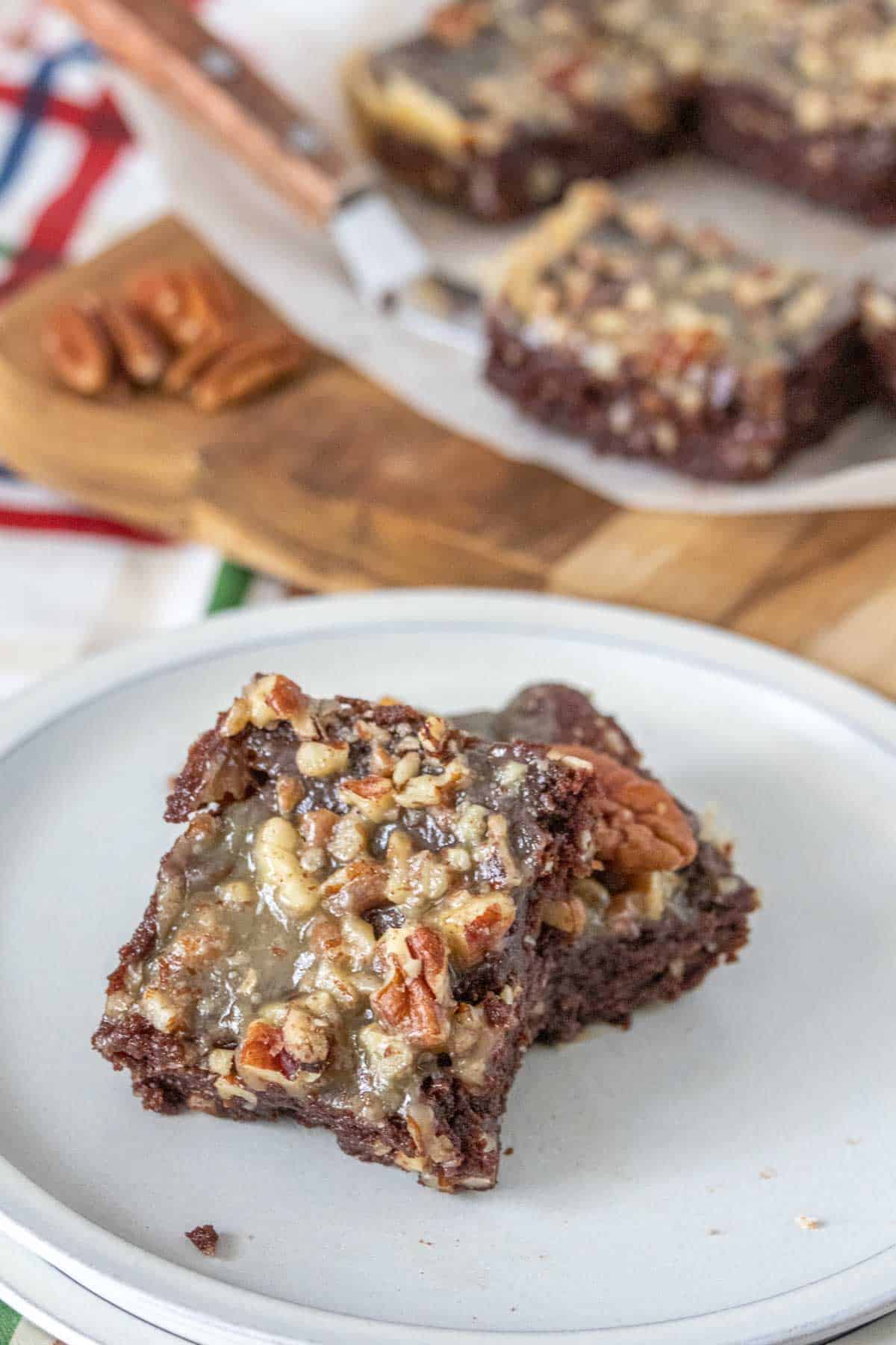 Gray plate with two turtle brownies on it.