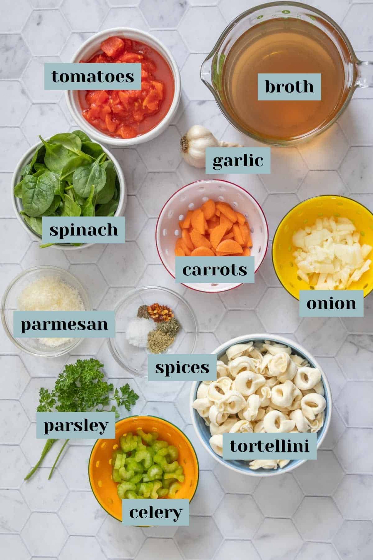 Ingredients for instant pot tortellini soup on a tile surface with labels.